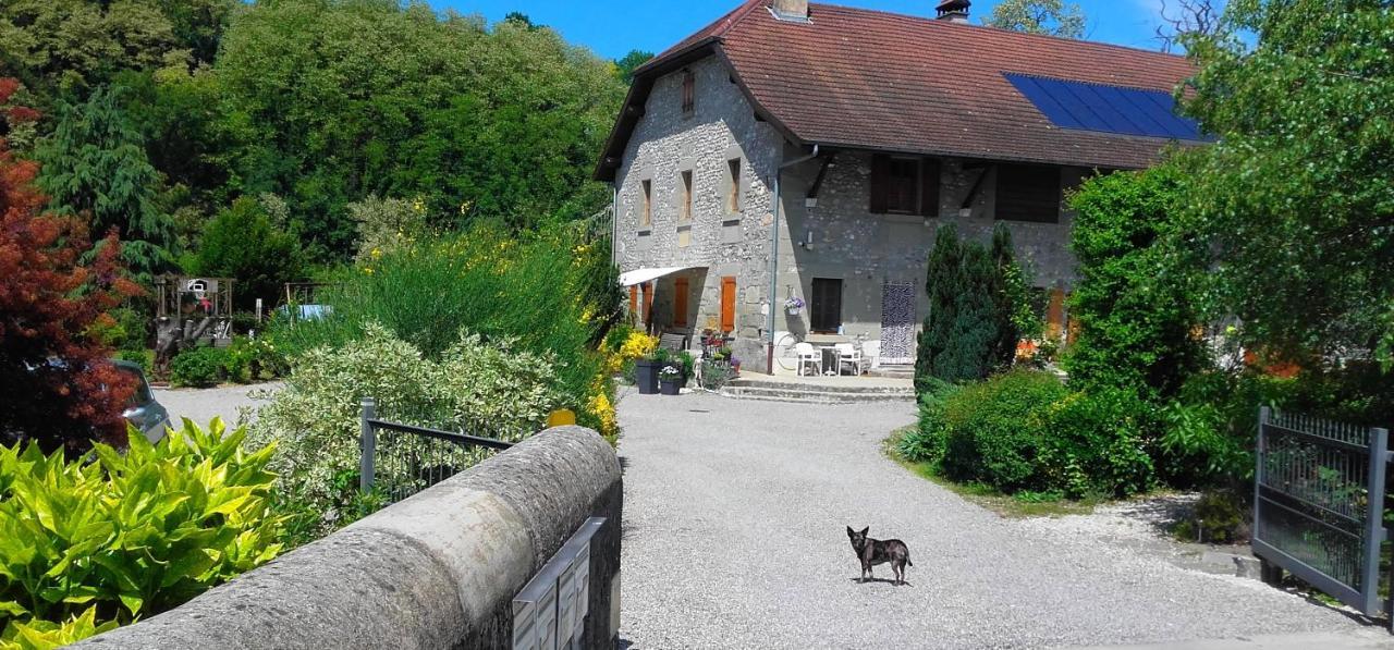 Escapade Champetre Bed & Breakfast Hauteville-sur-Fier Eksteriør bilde